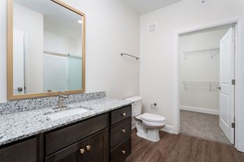 a bathroom with a mirror and a toilet and a sink